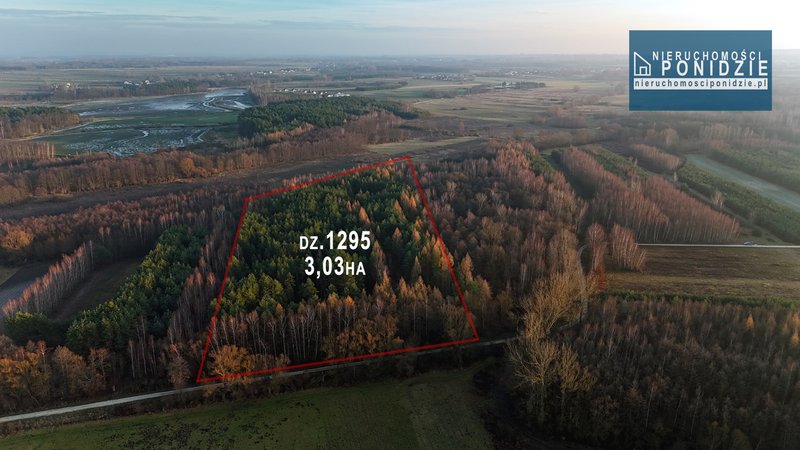 Działka 3,03 ha Skrobaczów gm. Stopnica