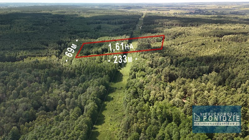 Działka leśna 1,61 ha Wólka Bosowska