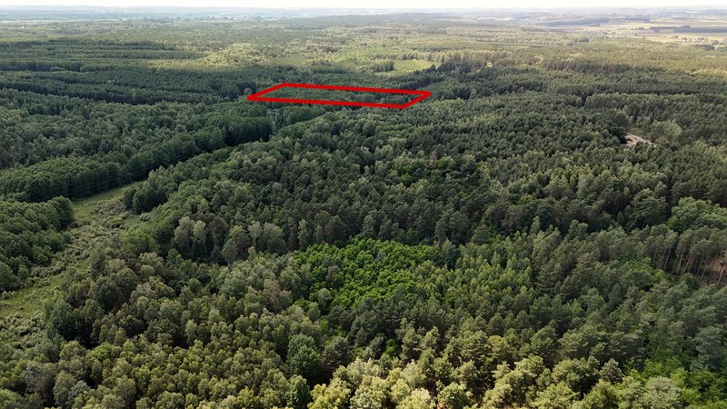 Działka leśna 1,61 ha Wólka Bosowska — zdjęcie 3