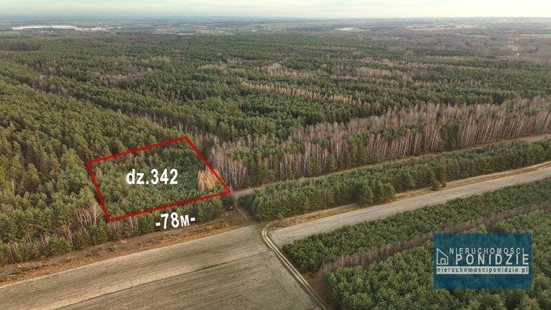 Działka leśna Szczytniki gm. Stopnica — zdjęcie 2